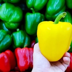 Mixed Peppers