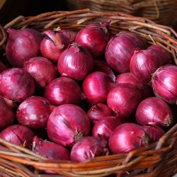 Red Onions