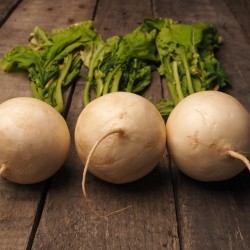 Turnips