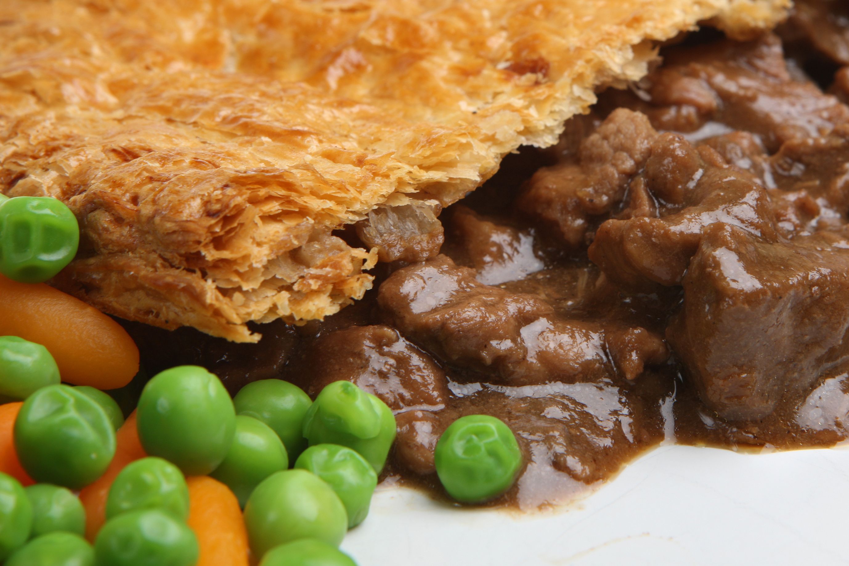 Steak and gravy family